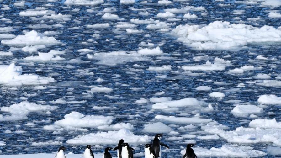 Търсите нов живот? Има нови свободни работни места в Антарктида за 2026 г.