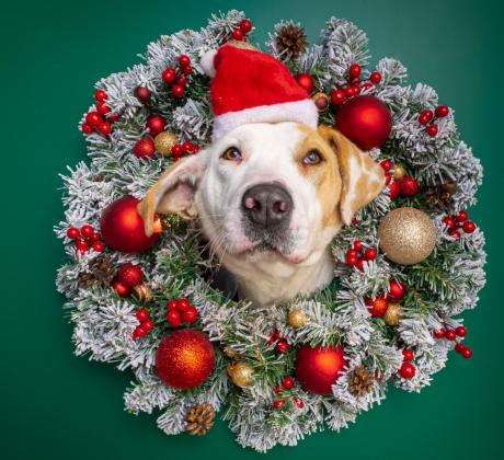 За четвърта поредна година екипът на Прогнозата за времето на