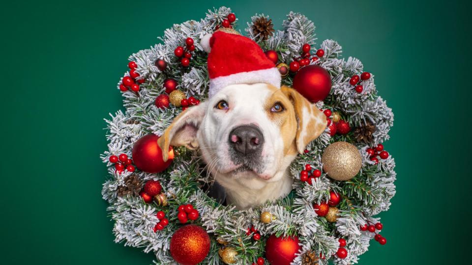 За четвърта поредна година екипът на Прогнозата за времето на