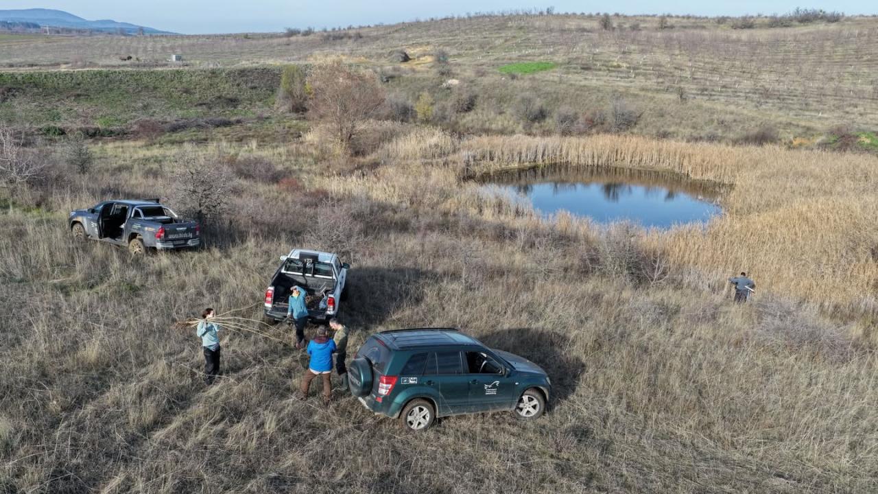 Залесяване в Югоизточна България