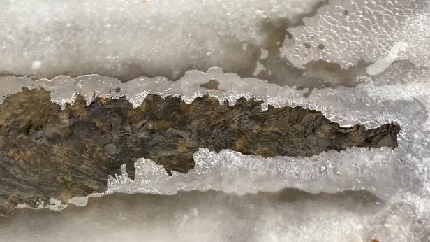 Предстои снежен и леден януари