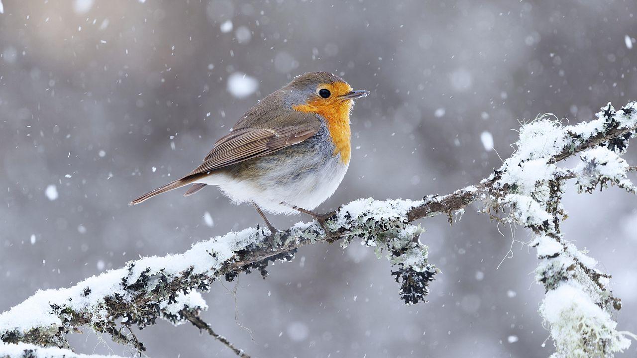 Илюстративна снимка