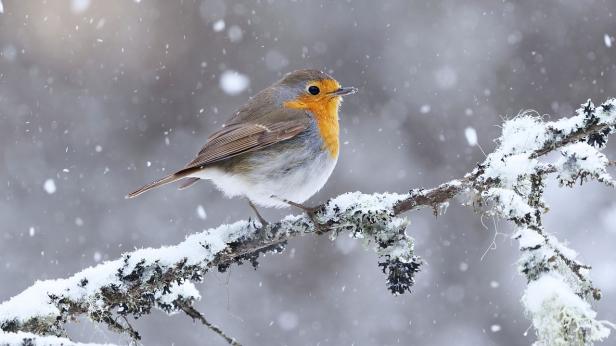 Силен вятър в неделя