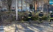 Бурният вятър в Пловдив: Над 80 сигнала за щети и пострадали автомобили
