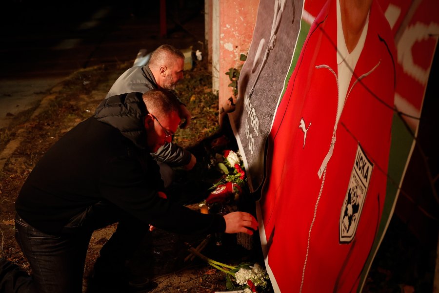 Димитър Пенев1