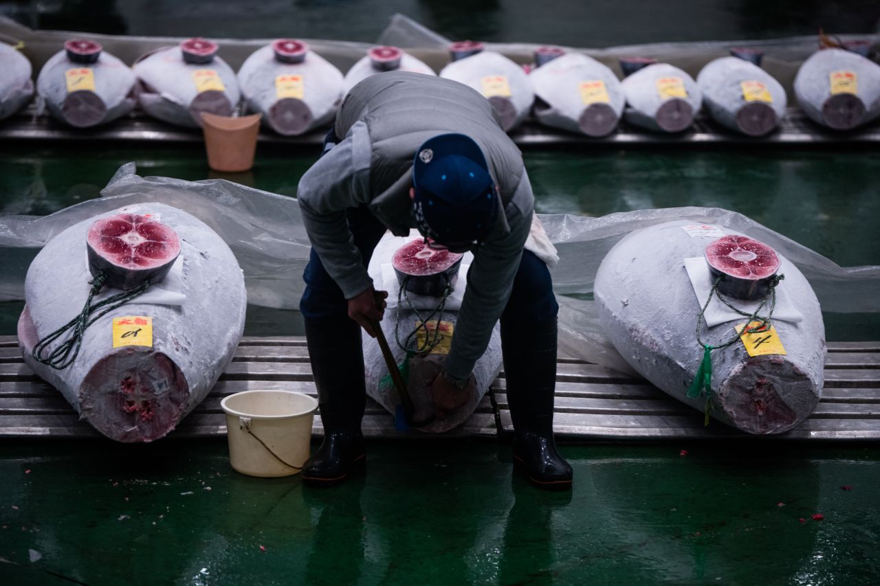 <p>Търг за риба тон в Япония</p>