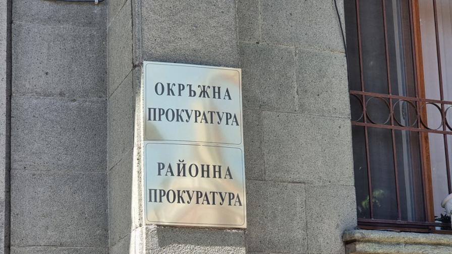 Ужас в Поляна, снимаха как кола прегазва котка