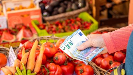 България в еврозоната: ЕЦБ отчита незначително увеличение на цените