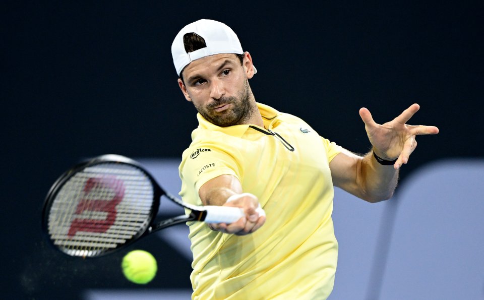 Григор Димитров1