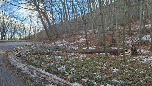 Парцелът с дървото, убило жена - собственост на 10 души