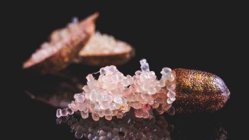 Какъв е вкусът на лукса? Най-скъпите храни в света и рекордните им цени