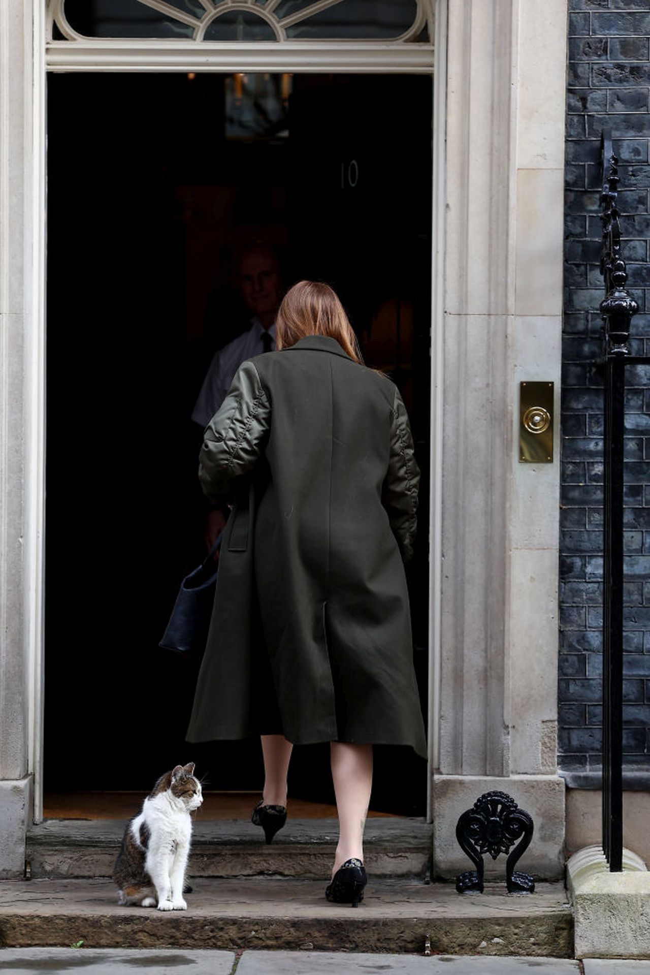 <p>Котката Лари на Даунинг стрийт е виждала президенти и принцове да минават през черната врата на номер 10 и е сред най-дългогодишните обитатели на имота</p>