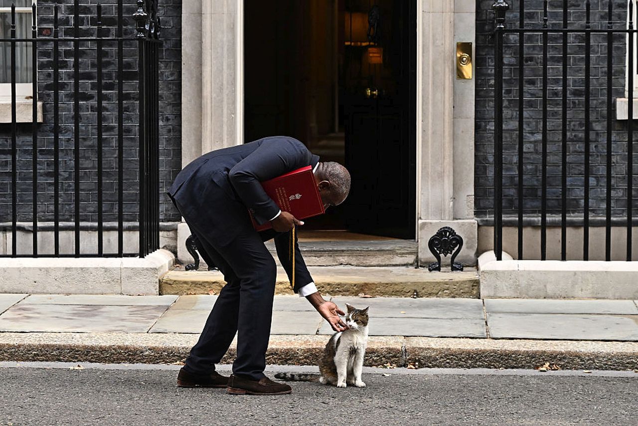 <p>Котката Лари на Даунинг стрийт е виждала президенти и принцове да минават през черната врата на номер 10 и е сред най-дългогодишните обитатели на имота</p>