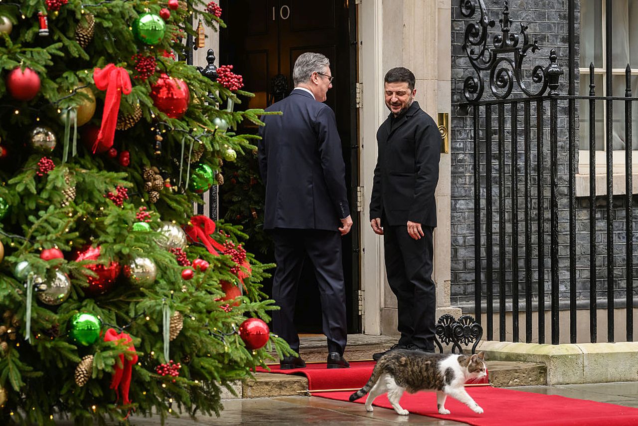 <p>Котката Лари на Даунинг стрийт е виждала президенти и принцове да минават през черната врата на номер 10 и е сред най-дългогодишните обитатели на имота</p>