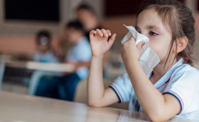 Грипната вълна се разраства: Добрич също обмисля онлайн обучение за учениците