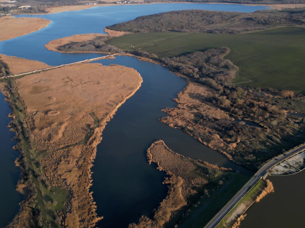Среднозимно преброяване на водолюбивите птици