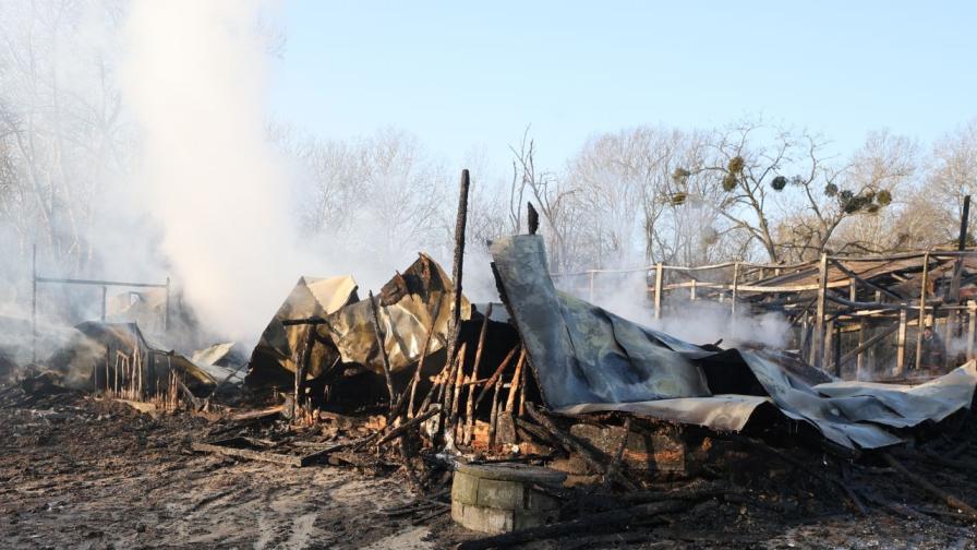 Седем коне изгоряха при пожар в конна база...