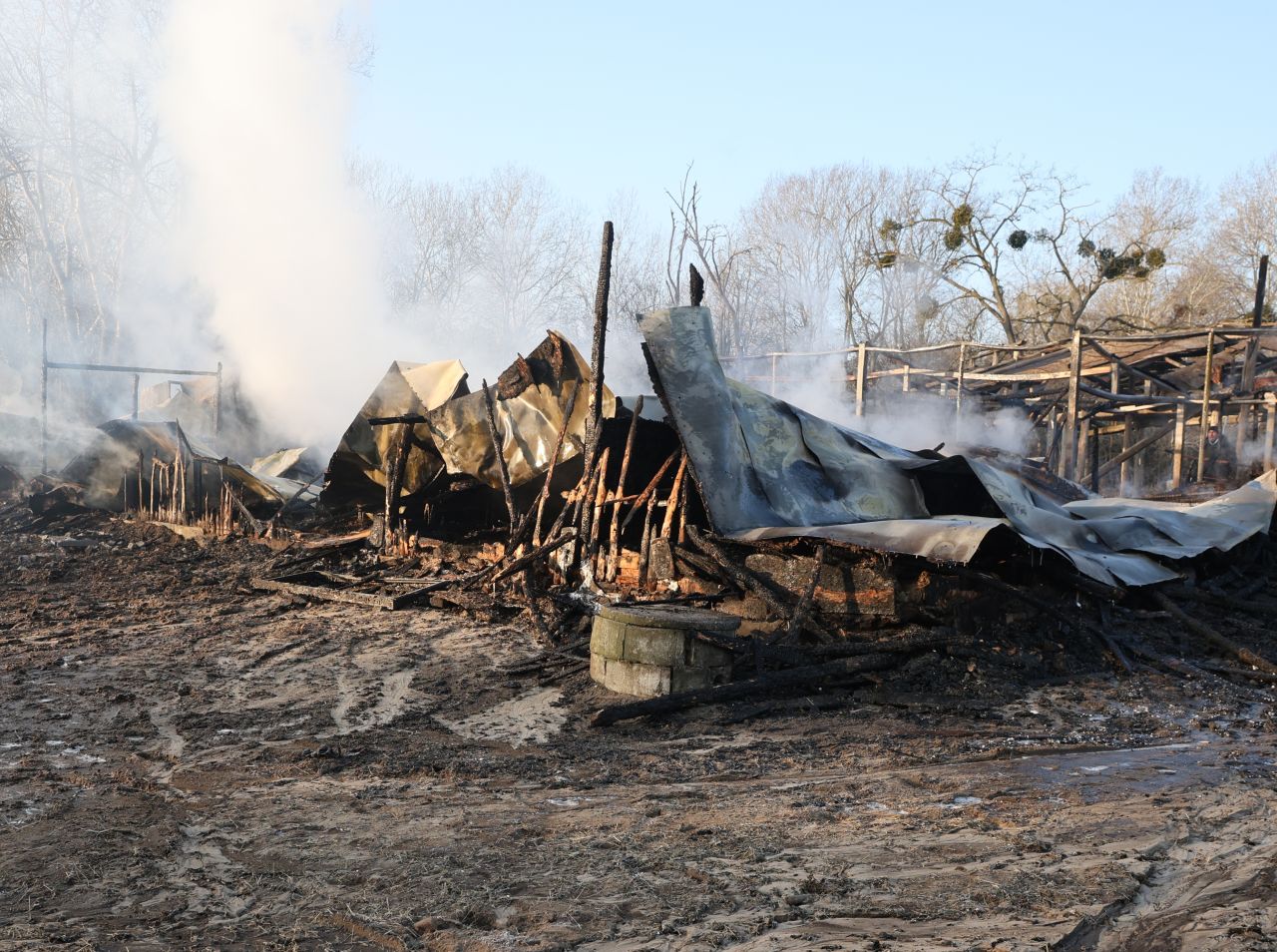 <p>Седем коне са изгорели при пожар в конната база &bdquo;Фанагория&ldquo; във Варна. Леко е пострадал пазачът на базата</p>