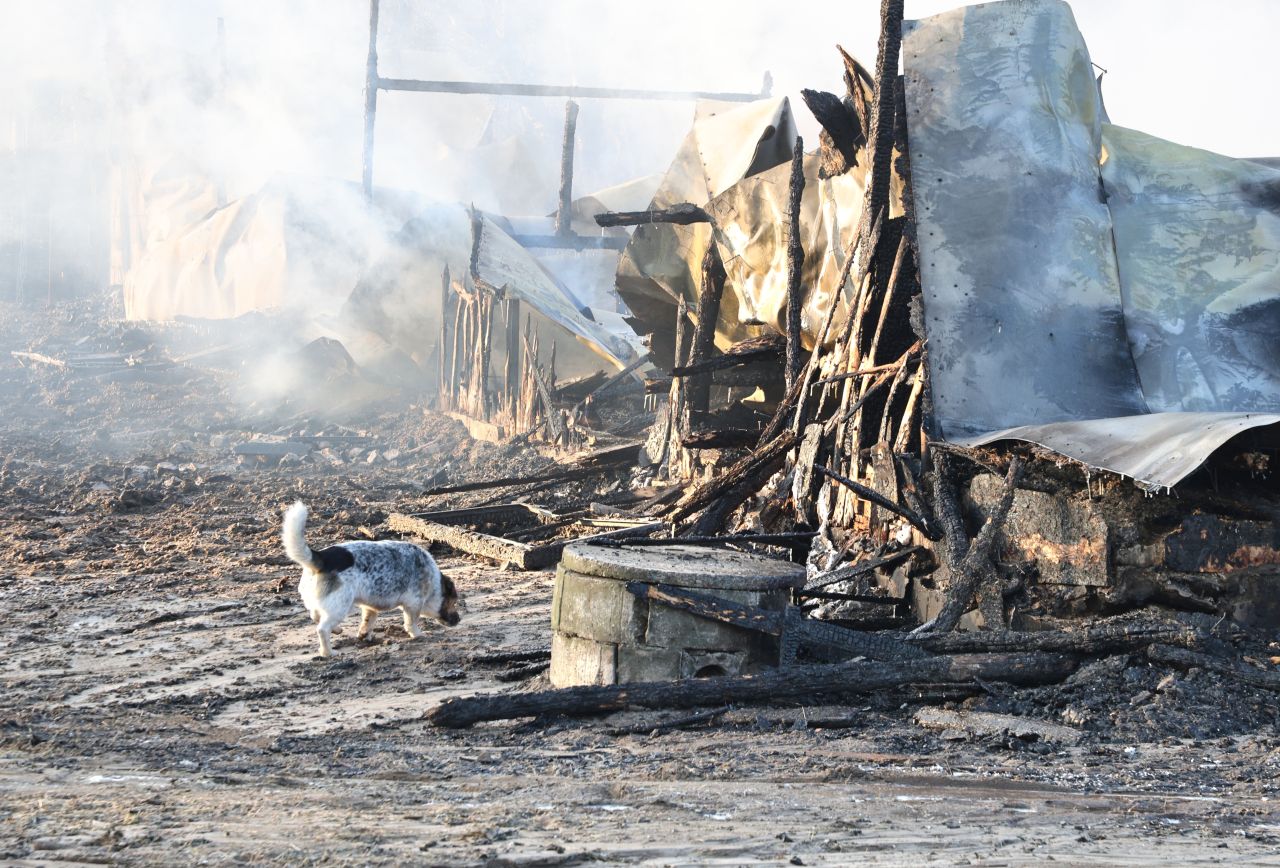 <p>Седем коне са изгорели при пожар в конната база &bdquo;Фанагория&ldquo; във Варна. Леко е пострадал пазачът на базата</p>
