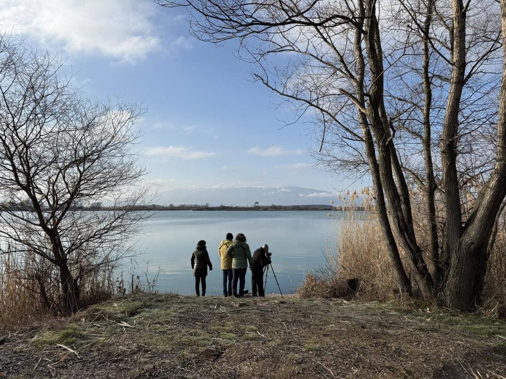 Среднозимно преброяване на водолюбивите птици
