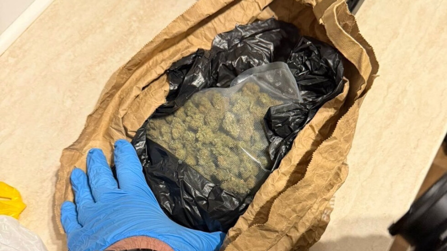 Арестуваха 23-годишна бургазлийка с голямо количество наркотици в Слънчев бряг