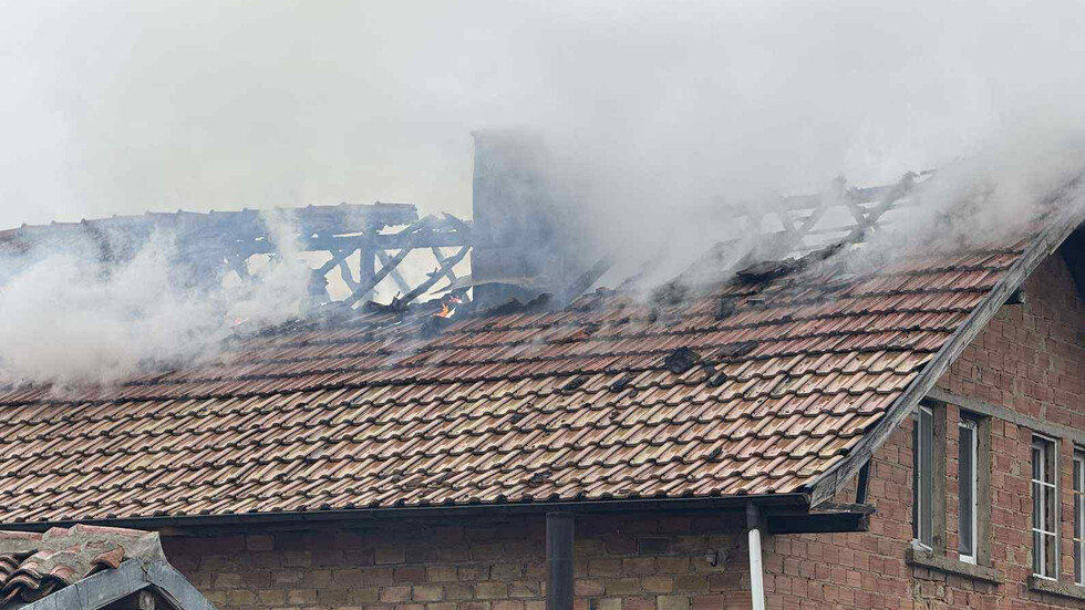 Голям пожар в Старозагорско: Горяха къщи и склад за дърва (СНИМКИ)
