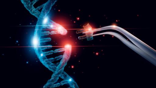 Китайският д-р Франкенщайн: От ГМО бебета до затвора