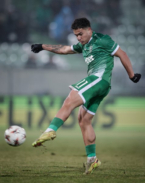 Лудогорец Ница1