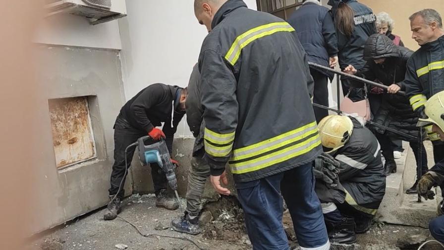 Зазидаха живо коте в стена в Бургас, спасиха го след 9 дни