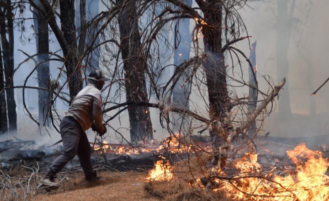 Аржентина обяви извънредно положение заради горски пожари