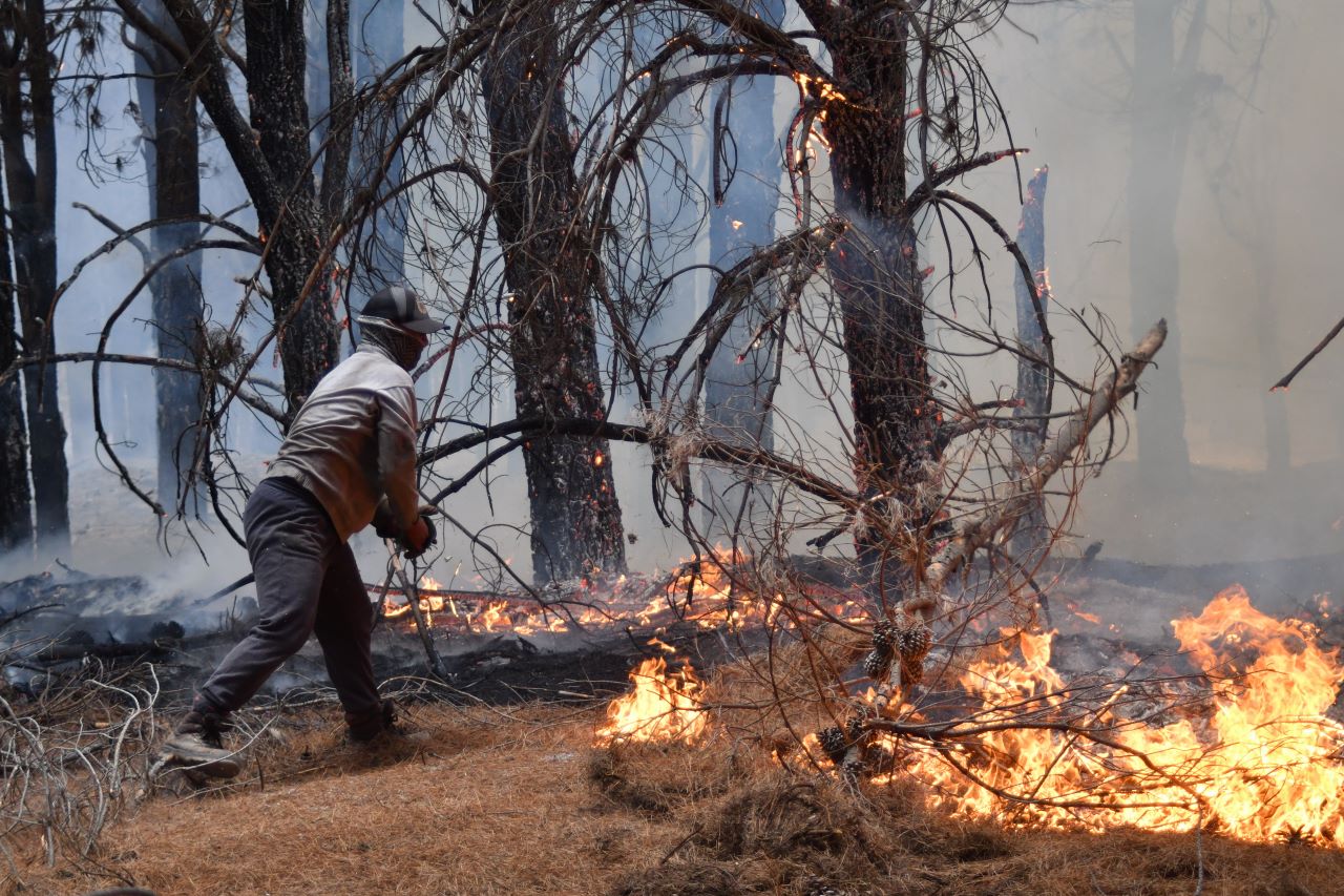 Аржентина обяви извънредно положение заради горски пожари