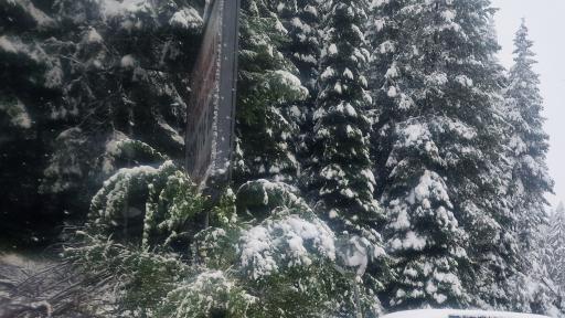 Катастрофа между седем коли и трактор на Превала