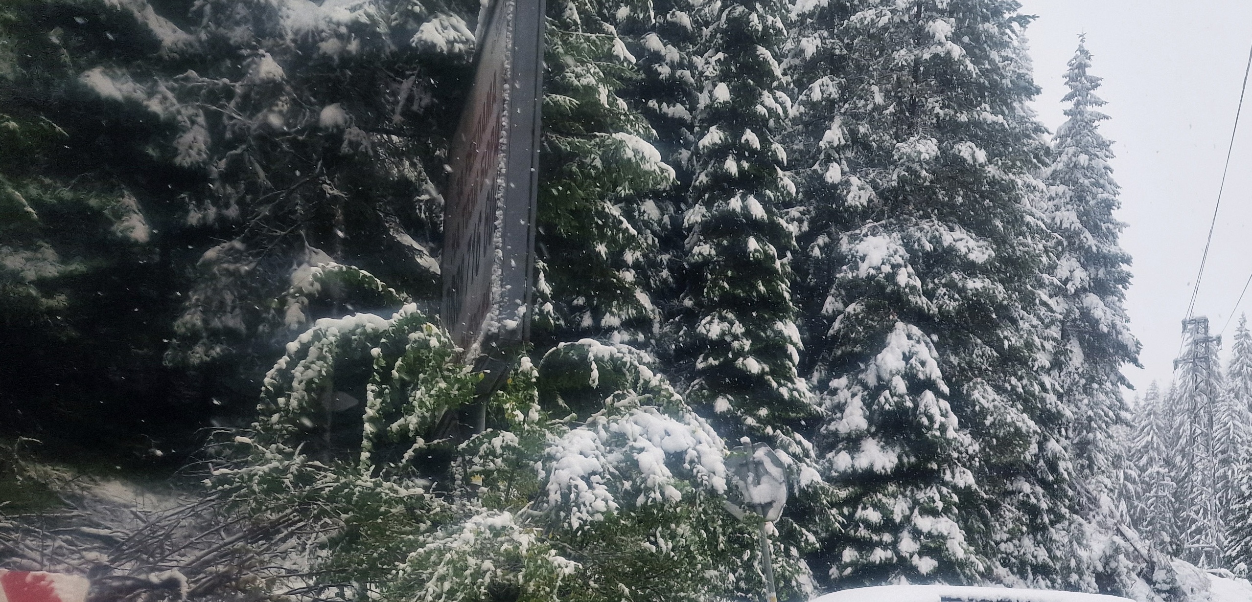 Катастрофа между седем коли и трактор на Превала