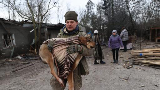Руски бомбардировки поразиха приют за кучета в Украйна