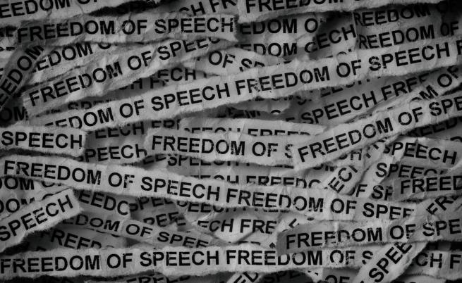 САЩ ще финансират насърчаването на свободата на словото в Западна Европа