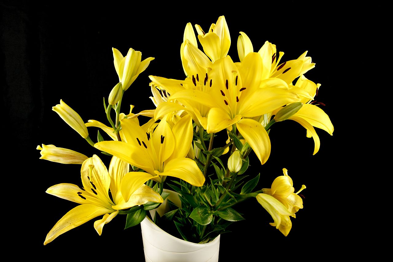 <p>Жълтите лилии символизират радост и обич. Не забравяйте, че можете да комбинирате няколко вида цветя, за да създадете красив букет за всяка майка или майчинска фигура в живота ви.</p>