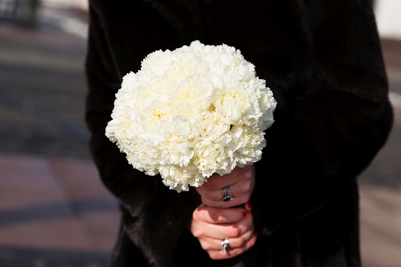 <p>Белите карамфили също са идеални за тази цел. С нежния си и блед оттенък тези цветя са перфектни за изразяване на благодарност и признателност.</p>