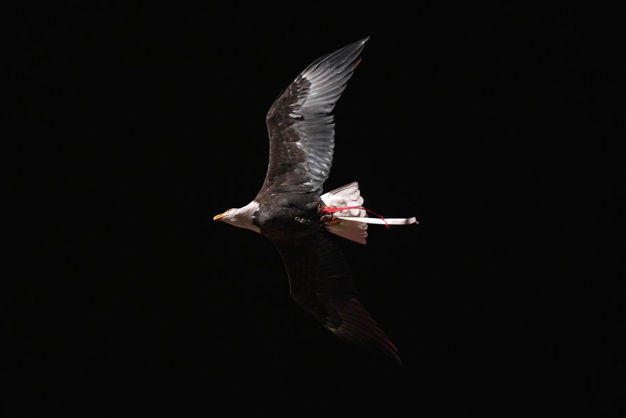 Бенфика Реал1