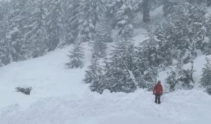 Мащабна акция в Стара планина: Издирват изчезнал турист под връх Голям Кадемлия