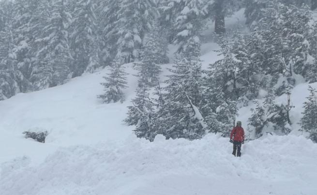 Мащабна акция в Стара планина: Издирват изчезнал турист под връх Голям Кадемлия