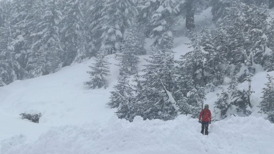 Мащабна акция в Стара планина: Издирват изчезнал турист под връх Голям Кадемлия