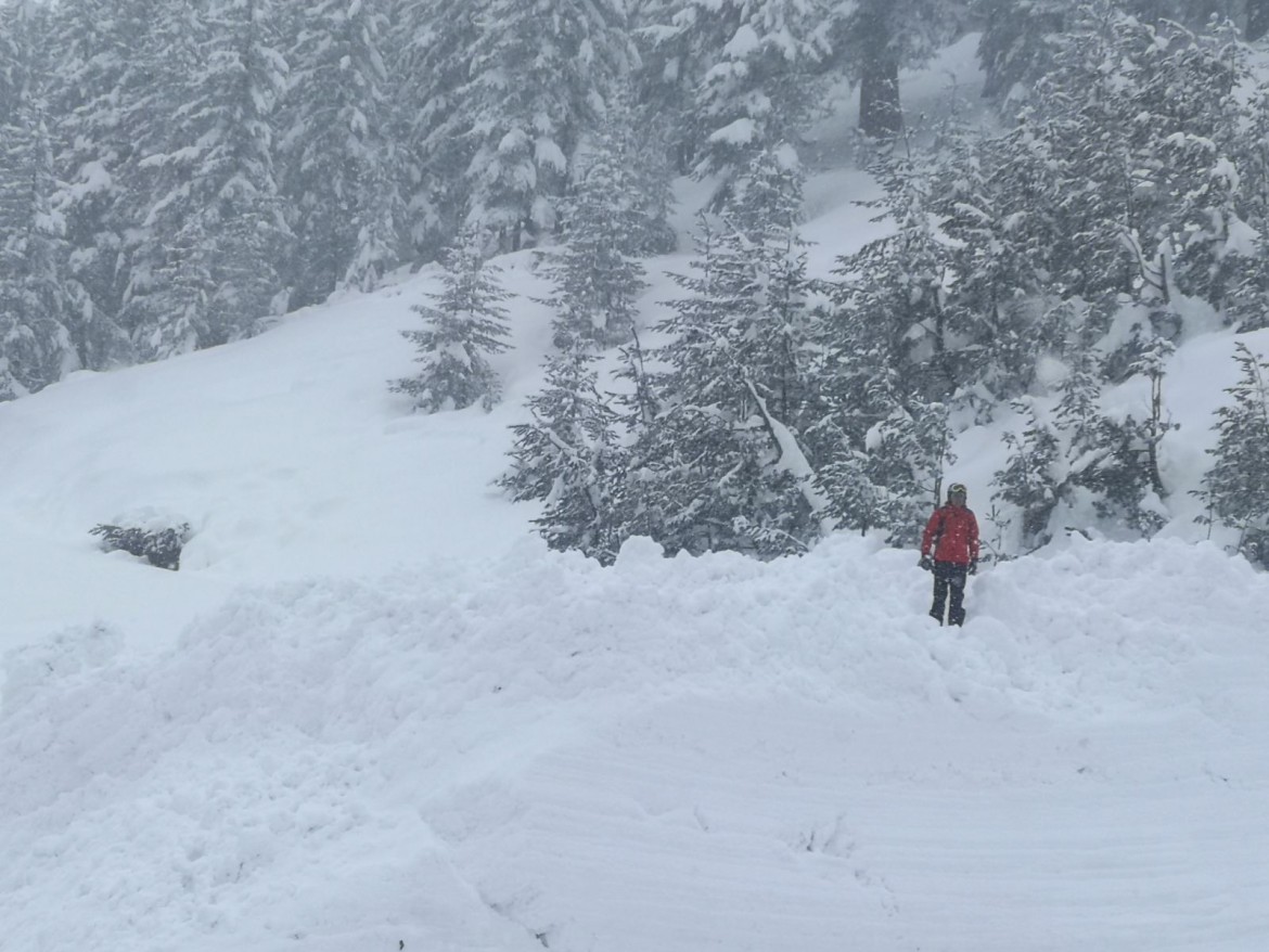Мащабна акция в Стара планина: Издирват изчезнал турист под връх Голям Кадемлия