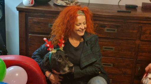 Кучешки разкош/Котешко великолепие: За негово добро/За мое удобство