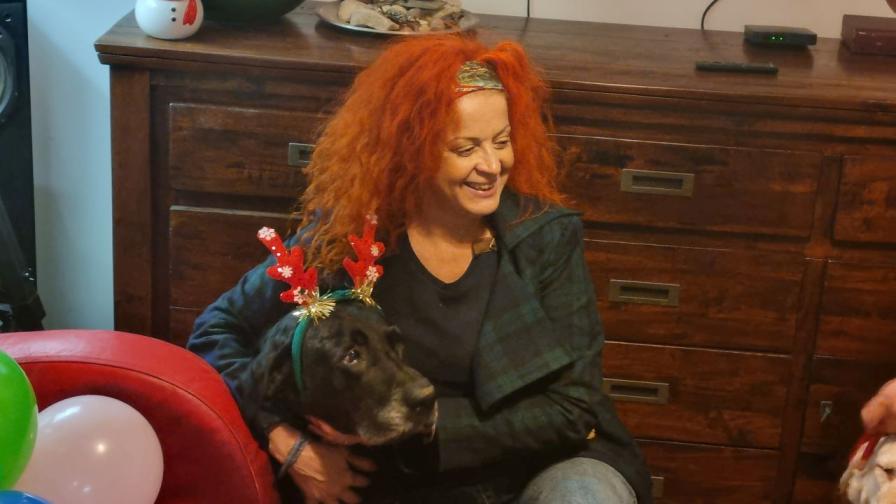 Кучешки разкош/Котешко великолепие: За негово добро/За мое удобство