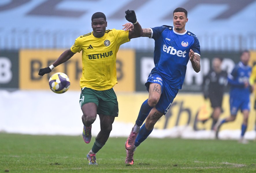 Добруджа и Монтана1