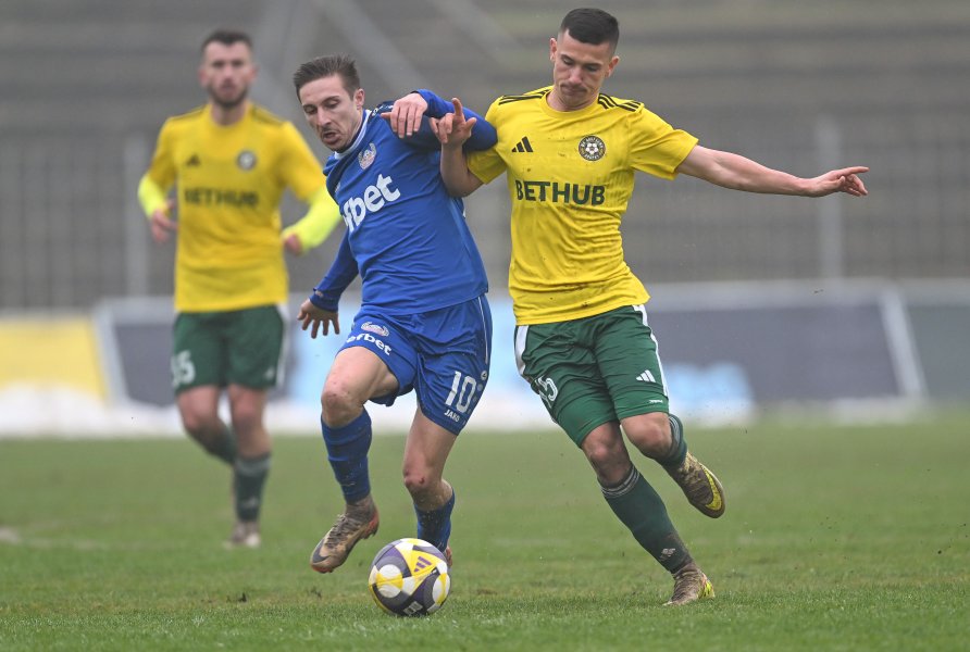 Добруджа и Монтана1