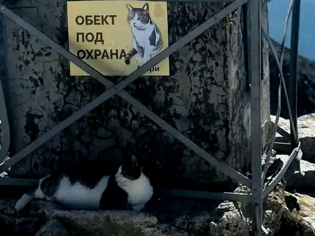 Мъри на Мусала