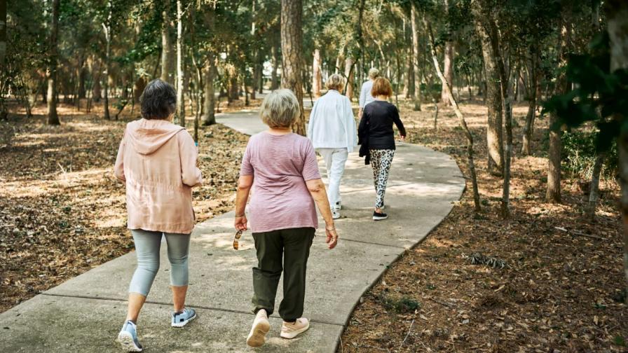 Учени разкриха тайната на столетници: Кръвта им е като на 30-годишни хора