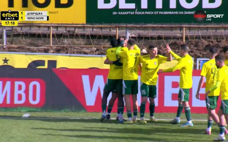Добруджа се върна в мача