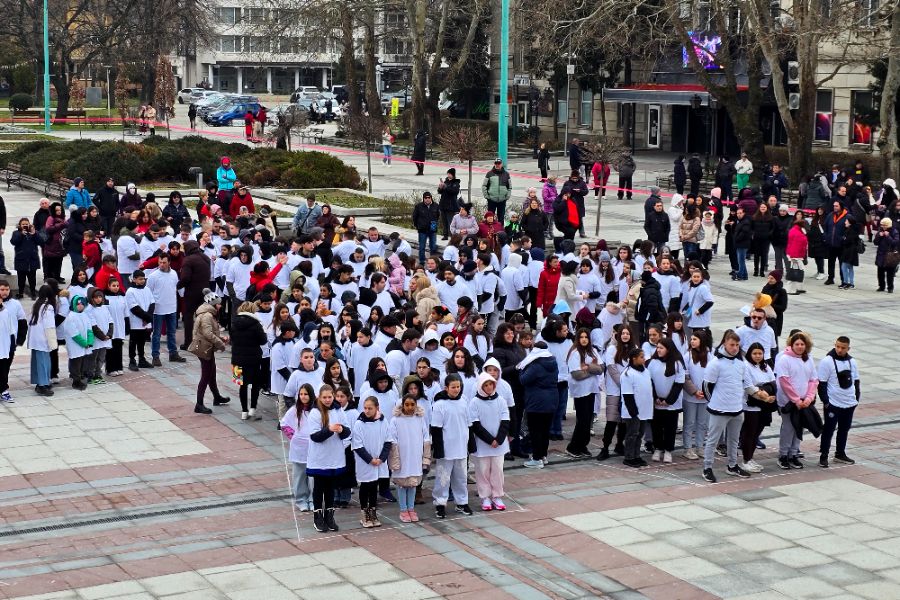 <p>Община Видин се стреми към рекорд на Гинес с изработването на 50-километрова мартеница, като водеща роля в инициативата имат читалищата на територията на общината. Това каза Ралица Славчева от Регионален център &bdquo;Читалища&ldquo; във Видин.</p>